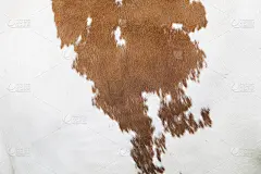 牛皮上的棕色和白色图案