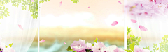汪展达采集到banner