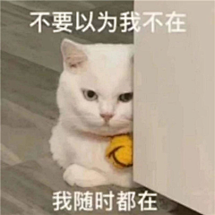 莹窗采集到表情包
