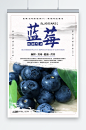 中国风蓝莓水果店图片海报-众图网