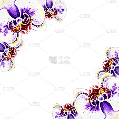 漂亮的角框从鲜艳的兰花花。水彩画。外来植物。印花。植物成分。婚礼和生日。贺卡。