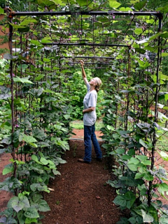 等风的歌采集到屋顶花园