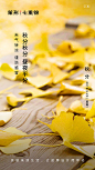 二十四节气之秋分移动端海报