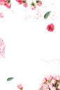 玫瑰花png