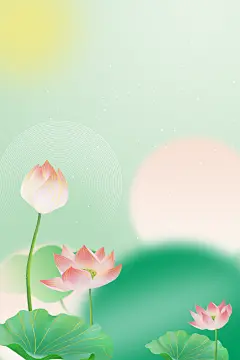 荷花手绘荷花清新