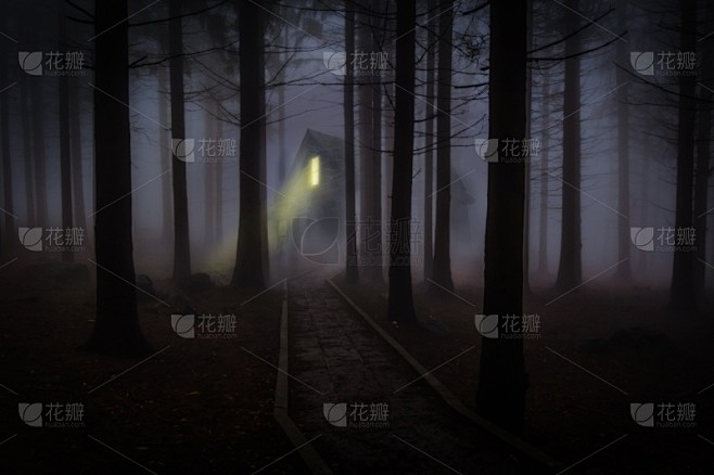 森林,房屋,暗色,在之间,怪异,树林,夜晚,小路,土路,水平画幅