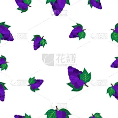 葡萄,四方连续纹样,可爱的,自然,精神振作,清新,食品,维生素,重复,设计