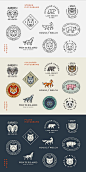 Animal logos/badges - stroke, colored, and filled pictograms.