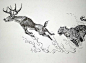 钢笔连环画旧作《鹿的感悟》_绘画吧_百度贴吧