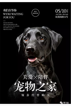 小兔崽子他爸爸采集到海报排版