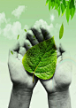环境保护绿色海报背景 设计图片 免费下载 页面网页 平面电商 创意素材