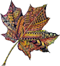 zentangle leaf color pinned from Pauline Coombes Lasst euch inspirieren von herbstlicher Farbenfreude!