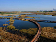 大大力水手采集到架空栈道