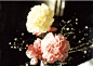 【母亲节之花——康乃馨】学名：Dianthus caryophyllus别名：麝香石竹科名：石竹科康乃馨为多年生草本。香石竹切花是著名的“母亲节”之花，代表慈祥、温馨、真挚和不求代价的母爱。可做花篮、花束、花盘、花瓶及胸花。花瓣如绢，镶边叠褶，匀称地包卷在筒状的花萼之内。有宜人的香味。深受世界各国人民喜爱，是意大利、波兰、洪都拉斯和摩纳哥等国的国花。原产法国到希腊一带，现在世界各地广泛栽培。康乃馨同中国的石竹，剪春罗、剪秋罗、汉宫秋等均为“同宗姐妹”，但它能散发微香，故又称“香石竹”。

（图）_中华