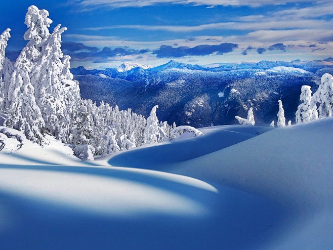 加拿大BC省：白雪覆盖的省立西摩山公园