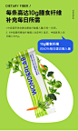 WonderLab青桔柠檬味白芸豆膳食纤维素粉小绿条 大餐救星20g*10条-天猫超市-天猫Tmall.com-上天猫，就购了-理想生活上天猫