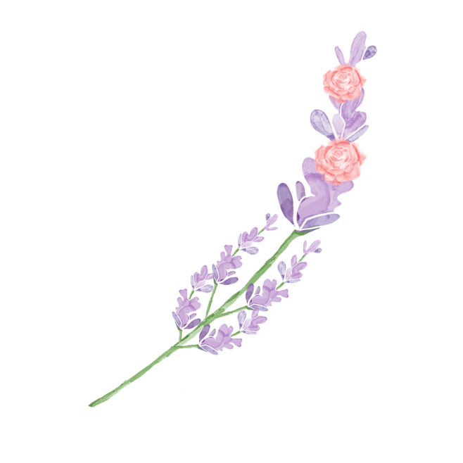 手绘水彩花朵花卉叶子素材