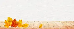 清新,文艺,秋季,枫叶,落叶,木板,立体,女装,秋装,背景,白色,海报banner,小清新,简约图库,png图片,,图片素材,背景素材,4006774北坤人素材@北坤人素材