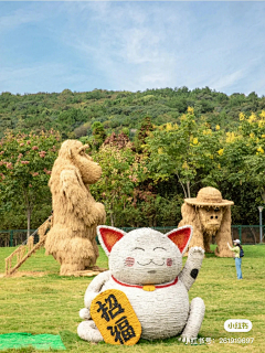海鑫开心呀采集到稻草景观