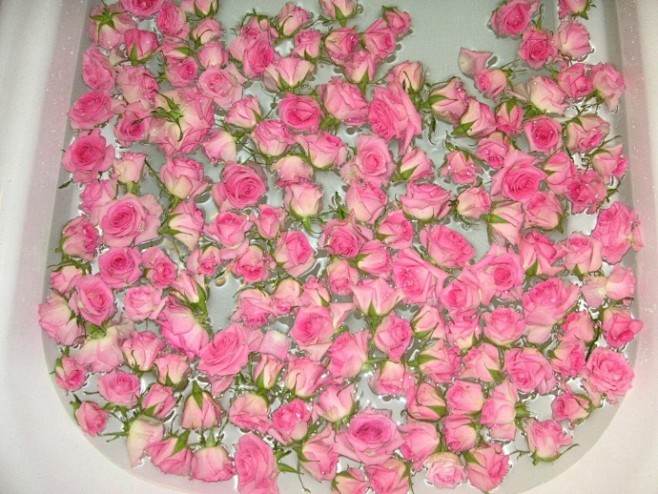 flower~