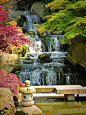 Kyoto Garden in London's Holland Park #nature #park #London