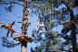 Flagstaff Extreme - Tree top adventure course---its a crazy course..black shrit is a must ...