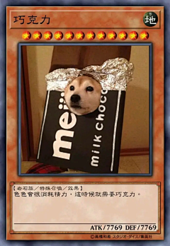 愛尔皮采集到狗狗