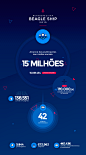 Retrospectiva Beagle Ship 2015 - Infográfico : Infográfico com números e resultados do trabalho entregue em 2015 pela agência de Branding e Marketing, Beagle Ship.