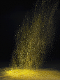 黑色背景,落下,无人,摄影,粉末_gic10339894_Gold dust falling_创意图片_Getty Images China