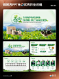 ✅PPT实战改稿第1期｜茶类主题作业打卡