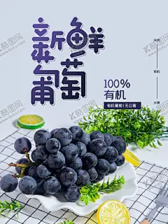 新鲜葡萄 【酷图网】葡萄,海报,葡萄上市,提子,葡萄熟了,葡萄采摘,葡萄提子,葡萄红提,葡萄黑提,葡萄广告,葡萄展板,红缇,葡萄采摘节,葡萄海报,葡萄园,摘提子,葡萄庄园,葡萄红酒,葡萄节开幕,有机葡萄,葡萄批发,葡萄节,葡萄农业,生态葡萄,吐鲁番葡萄,进口葡萄,葡萄采摘文化,葡萄采摘活动,蔬菜瓜果海报