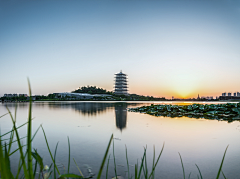 菠菜-Spinach采集到风景