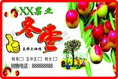 冬枣 【酷图网】冬枣,水果店宣传,海报,冬枣不干胶贴,大枣图