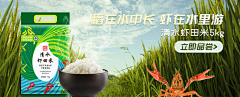 自由逍客采集到电商banner