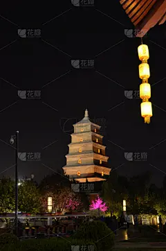 西安,建筑外部,宝塔,鹅肉,巨大的,野外动物,大雁塔,陕西省,垂直画幅