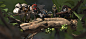 UNDERGROWTH