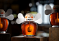 bee bolimond honey octane Pack Packging