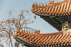 雍和宫的“柿柿如意” ​​​​