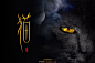 1760 猫（31P）-字体帮