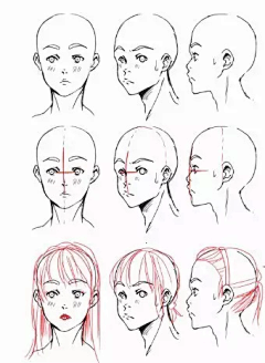 雅贤YY采集到【绘画-人体结构】发型-短发、长发