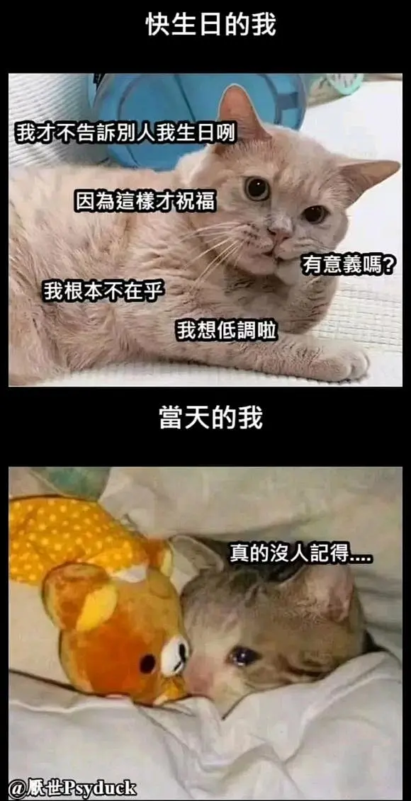 取自meme，用之meme_meme图吧_百度贴吧图片_meme（梗图）图片素材-花瓣网