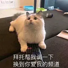 【图片】想要些和男朋友互动的表情包鸭_表情包吧_百度贴吧