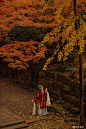 入戏，虎丘。#这就是中国风#
（摄影师@柳若汐_ ） ​​​​