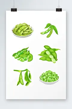 矢量手绘绿色健康毛豆蔬菜元素插画