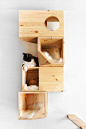 Catissa猫咪阁楼 Catissa cat tree by Ilshat Garipov - 灵感日报 : 猫咪们时而玩耍淘气，时而害羞孤僻，来自爱沙尼亚的设计师Ilshat Garipov根据猫咪们这一天性，为其量身设计了一款树屋——Catissa cat tree，一个固定在墙壁上的猫咪躲避屋。Ilshat自己养了四只猫，一开始的设计是为了解决这些家伙的日常游乐问题，随着设计的深入成熟，逐渐变成了产品……