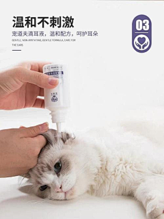 EEemZSIP采集到宠物
