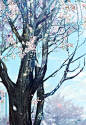  【 樱花飘落着 】