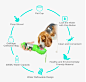 300ml 3 In 1 Dog Hiking Running Traveling Portable Pet Dog Drinking Water Bottle With Food Storage Boxes - Buy 300ml 3 In 1 Pet Water Bottle,Dog Hiking Running Traveling Portable Dog Water Bottle,Dog Drinking Water Bottle With Food Storage Boxes Product o
