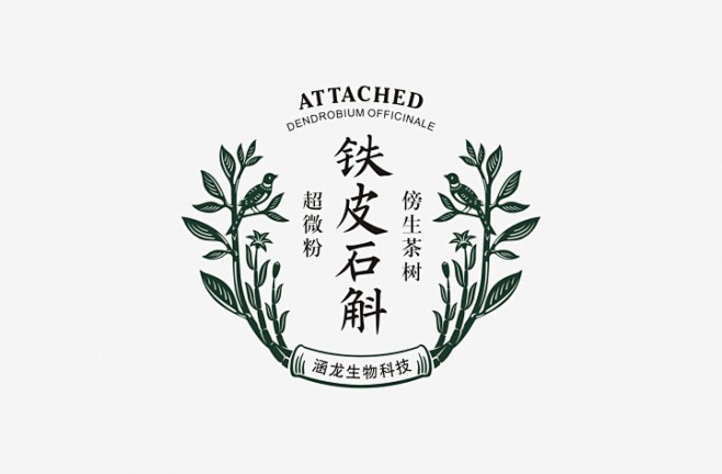 10:36:28傍生铁皮石斛品牌形象和包装创意设计logo/vi设计ting-tings