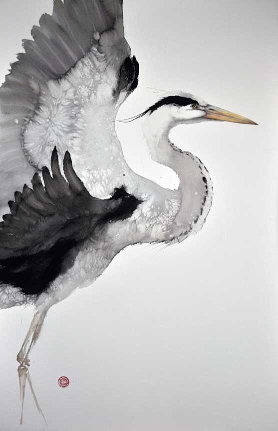 Gray Heron, 150x100 ...